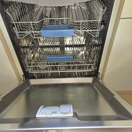 Fleiger 1 In Zentrum