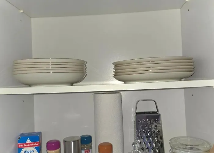 Fleiger 1 In Zentrum