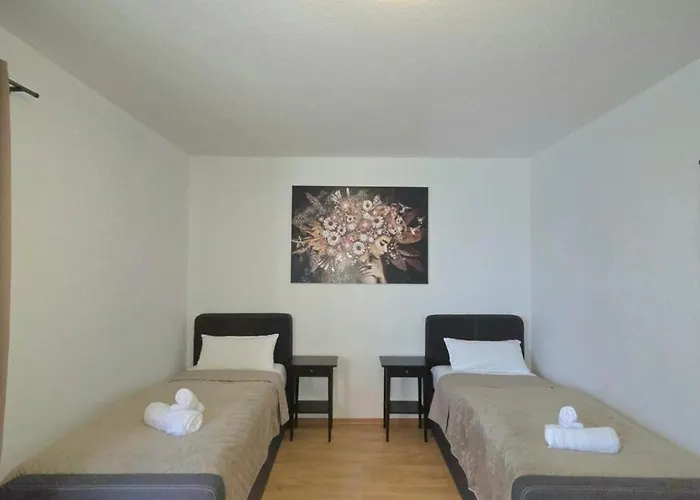 Fleiger 1 In Zentrum